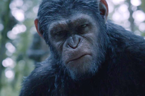 �������� ����������� �������� �� ��������� ���� �� ��������� "��������� �� ���������"